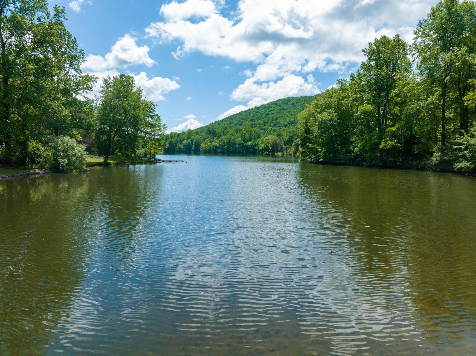 Waterfront Cabin 20 Mins To National Park & Massanutten! Stanardsville Exterior foto